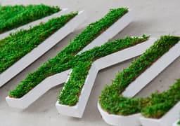 Tooltip_Letre et logo_vegetal_mousse_bois