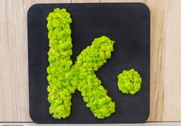 Tooltip_lettre_logo_methode_vegetalisation_selective