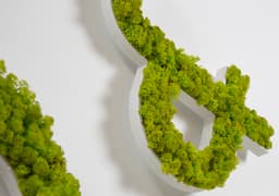 Tooltip_Letre et logo_vegetal_liquen_vert_naturel