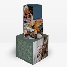 Thumb_cat_Cubos_de_cartón