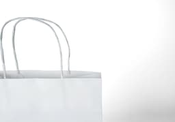 Tooltip sac papier kraft blanc-3