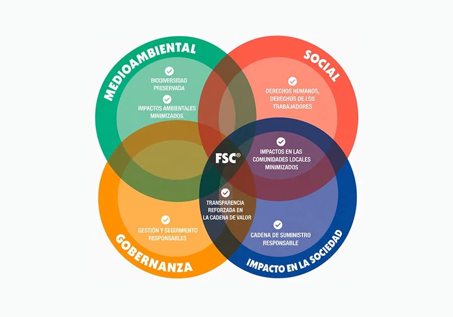 Los campos de intervención involucrados en la estrategia FSC®
